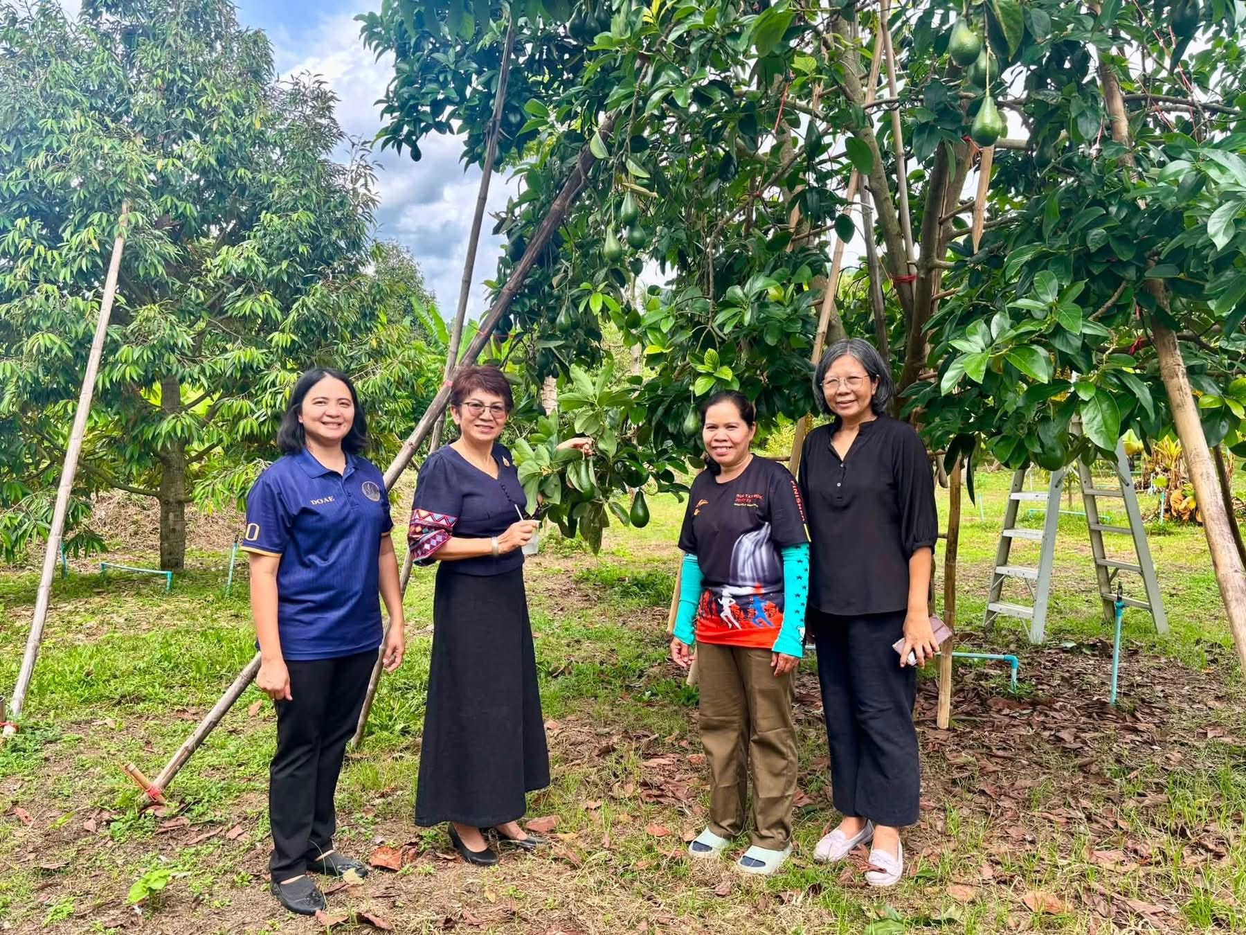 เกษตรจังหวัดเพชรบูรณ์ ลงพื้นที่เยี่ยมเยียนสวนทุเรียน &ldquo;นาป่า&rdquo; พร้อมชวนเที่ยวงาน &ldquo;บุกสวน ชวนฟิน กินทุเรียนของดีตำบลนาป่า&rdquo; 3-4 ก.ค. นี้